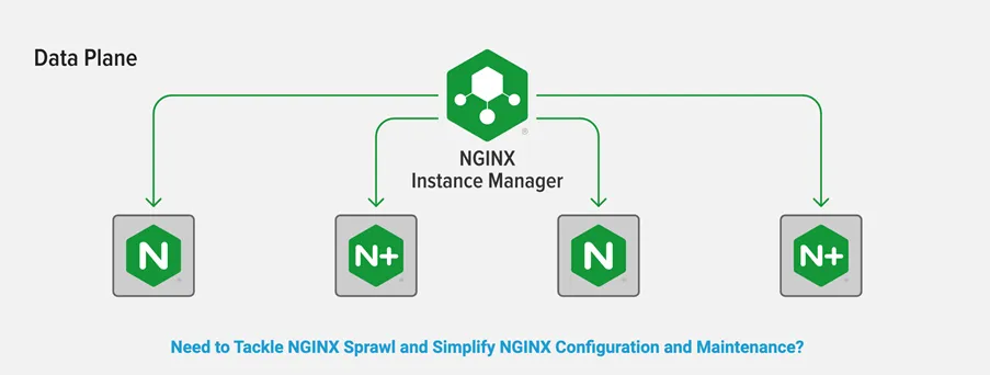 NGINX Instance Manager สำหรับการบริหารจัดการและตรวจสอบสถานะการทำงานของ ...